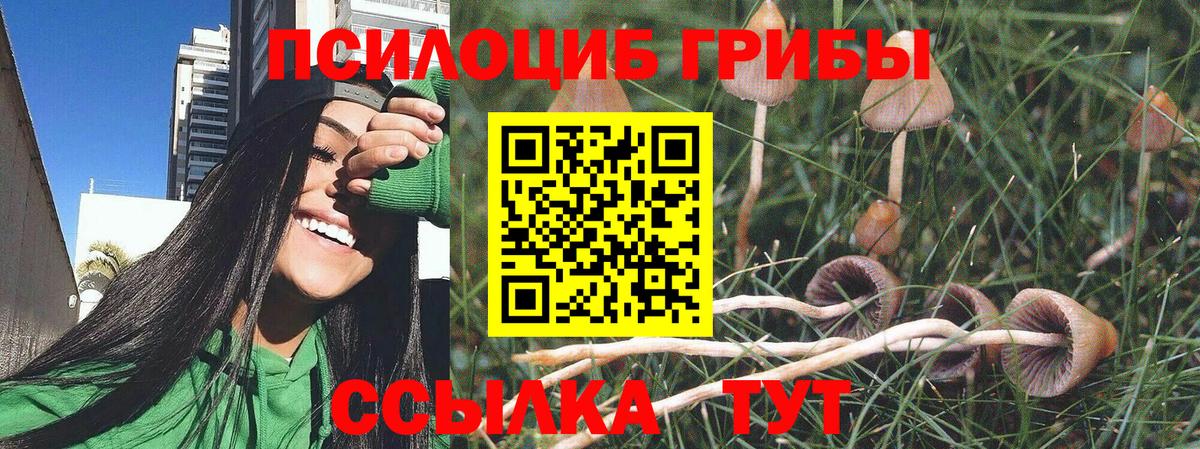 Галлюциногенные грибы мухоморы Тверь