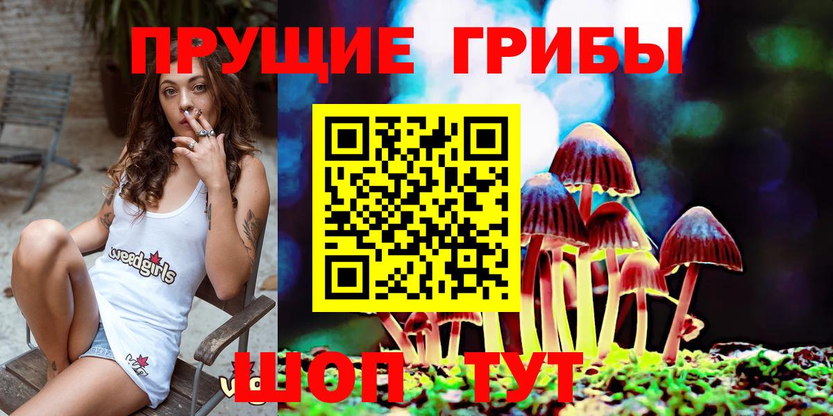 Галлюциногенные грибы Psilocybe  Вход с VPN  Тверь 